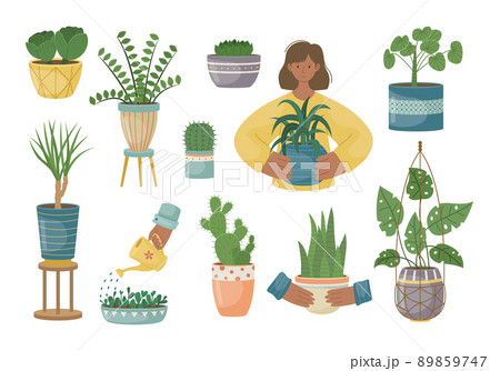 The set of house plants in the pots. Planting plants. Decorative plants in the interior of the house. Flat style. 89859747