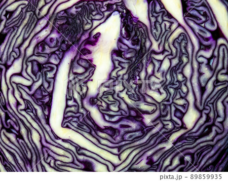 Texture of pink red cabbage cut in half close up Texture of pink red cabbage cut in half close up 89859935