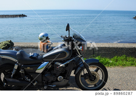 海辺のパーキングで熊の縫いぐるみを乗せサイドカーの記念撮影 89860287