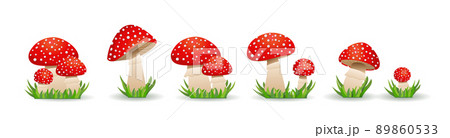 Big Set mushrooms toadstool. Inedible mushrooms. Vector illustration in flat style. 89860533