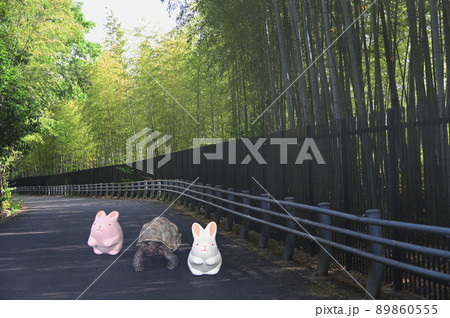 竹林のうさぎとかめ 竹林のうさぎとかめ 89860555