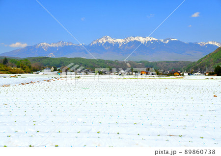 川上村より八ヶ岳方面を望む(長野県川上村)【2022.5】 川上村より八ヶ岳方面を望む(長野県川上村)【2022.5】 89860738