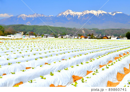 川上村より八ヶ岳方面を望む(長野県川上村)【2022.5】 川上村より八ヶ岳方面を望む(長野県川上村)【2022.5】 89860741