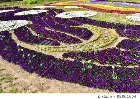 空と風の花ばたけ 空と風の花ばたけ 89861654