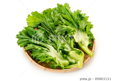 伝統野菜の播州こぶな 89863131