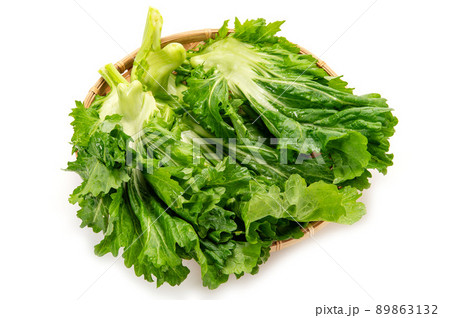 伝統野菜の播州こぶな 89863132