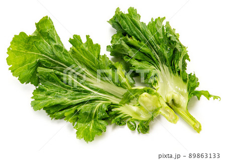 伝統野菜の播州こぶな 89863133