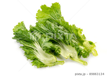 伝統野菜の播州こぶな 89863134