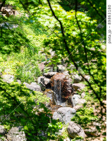 みずみずしい初夏の景色　新緑越しの滝組 89863180
