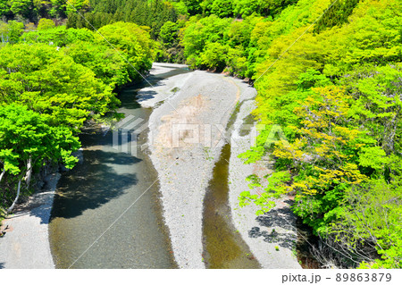 神寄橋/神流川より上流方向を望む(群馬県上野村)【2022.5】 神寄橋/神流川より上流方向を望む(群馬県上野村)【2022.5】 89863879