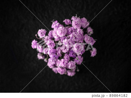 Studio shot of flower on black background. Photo from above. Studio shot of flower on black background. Photo from above. 89864182