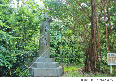 ダイトウオオコウモリが住む　大東神社 89865075