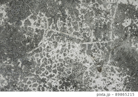 background textures concrete gray dark cracks and spots with blots. an old peeling abstract background with a greenish swamp shade background textures concrete gray dark cracks and spots with blots. an old peeling abstract background with a greenish swamp shade 89865215