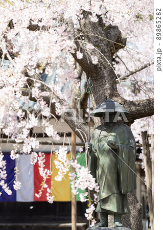六地蔵寺の弘法大師像としだれ桜 春の風景 六地蔵寺の弘法大師像としだれ桜 春の風景 89865282
