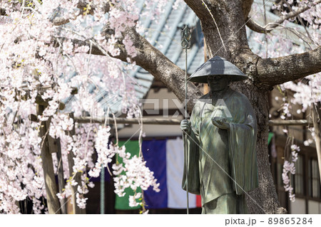 六地蔵寺の弘法大師像としだれ桜 春の風景 六地蔵寺の弘法大師像としだれ桜 春の風景 89865284