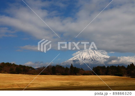 静岡県朝霧高原で見た富士山 89866320