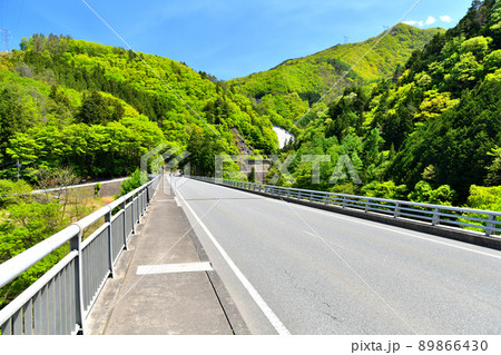 川和橋/神流川周辺(群馬県上野村)【2022.5】 川和橋/神流川周辺(群馬県上野村)【2022.5】 89866430