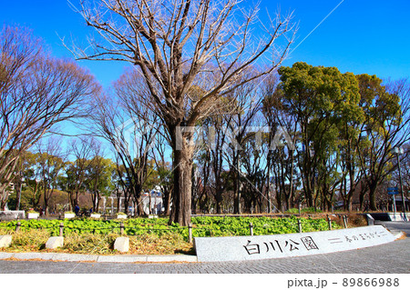 名古屋市、白川公園の風景 名古屋市、白川公園の風景 89866988