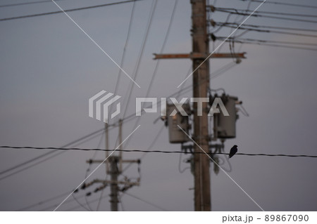 電信柱 89867090