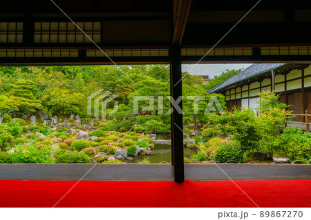 京都 等持院　初夏 89867270