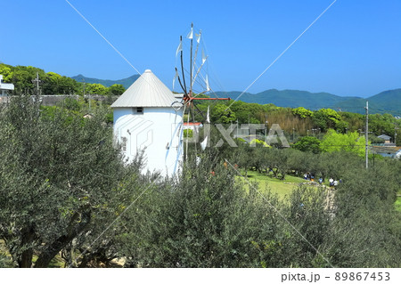 【香川県】快晴下の小豆島オリーブ園 【香川県】快晴下の小豆島オリーブ園 89867453
