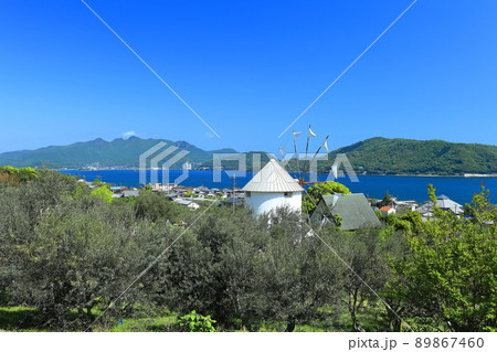 【香川県】快晴下の小豆島オリーブ園 【香川県】快晴下の小豆島オリーブ園 89867460