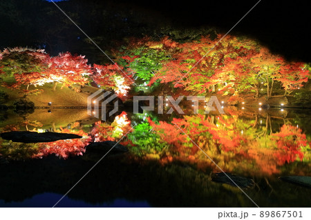 【香川県】栗林公園の秋の紅葉ライトアップ（掬月亭） 89867501