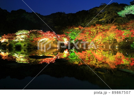 【香川県】栗林公園の秋の紅葉ライトアップ（掬月亭） 89867507