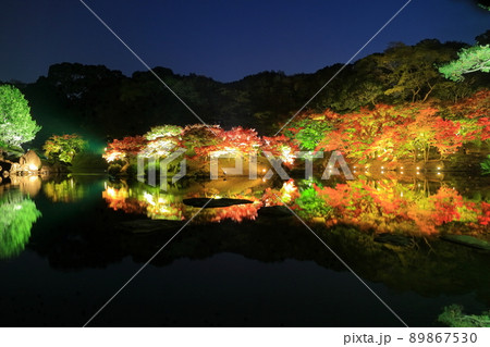 【香川県】栗林公園の秋の紅葉ライトアップ（掬月亭） 89867530