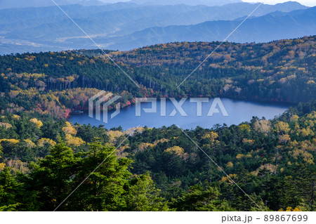 高見石から紅葉の白駒池眺望 89867699