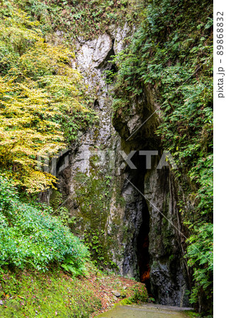 備中鍾乳穴洞口 89868832