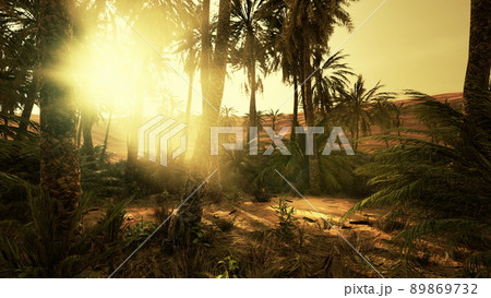 savannah valley and sand desert after colorful sunset 89869732