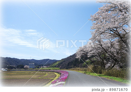 【イラスト風】桜が満開の川土手から見上げた青空にU文字形の雲が浮かんでいる光景 89871670