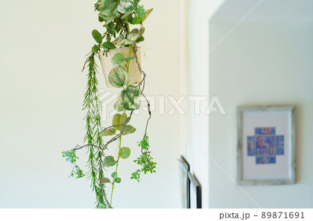 グリーンのあるインテリア　※プロパティリリース取得済み 89871691