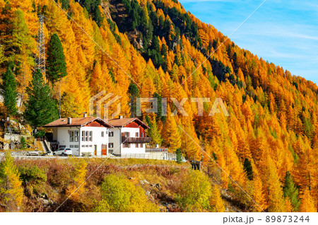 Alps forest house autumn mountains 89873244