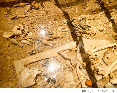 museum of ancient times. human skeleton, the remains of tribes in the museum exposition. white bones lie on sand, earth. observation of human life for thousands of years museum of ancient times. human skeleton, the remains of tribes in the museum exposition. white bones lie on sand, earth. observation of human life for thousands of years 89874114
