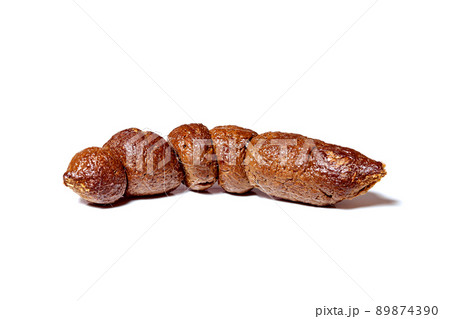 brown defecate animal, dog excrement with clipping path isolated on white background, close-up poop. 89874390