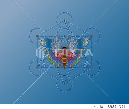 Butterfly over Metatrons Cube, Flower of Life. Sacred geometry. Mystic icon platonic solids Merkabah, abstract geometric colorful gradient design, crop circles sign. Graphic logo isolated on blue sky 89874391
