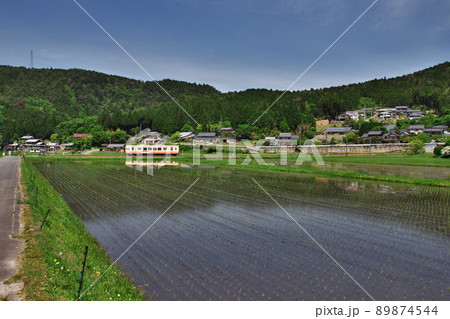 晴れた日の田園 風景 明知鉄道 電車 89874544
