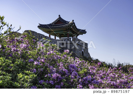 ファンメサン 花 朝 89875197