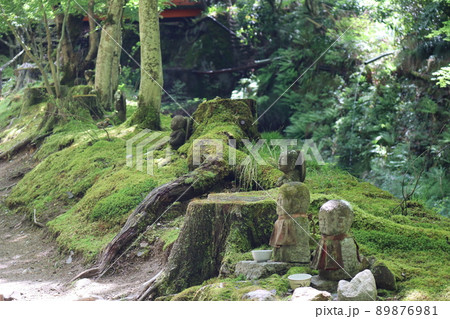 緑の樹々の山の中の山道の道端の苔の生えたところにお地蔵様が点在している風景 89876981