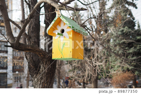 Birdhouse on a tree in the Park named after Bauman in Moscow. 89877350