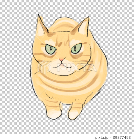 こちらを見ている手描き茶白猫(茶トラ猫)のイラスト 89877498