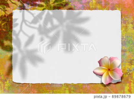 プルメリアの葉影と美しい花があるフレーム、トロピカルなグランジアート プルメリアの葉影と美しい花があるフレーム、トロピカルなグランジアート 89878679