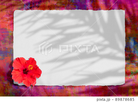 ヤシの葉影と赤いハイビスカスの花がある、トロピカルな白いフレーム 89878685