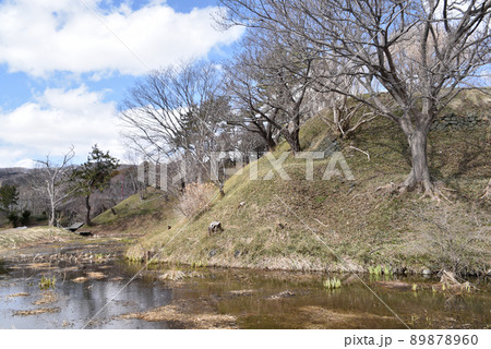 松前城 月琴堀と本丸土塁 松前城 月琴堀と本丸土塁 89878960