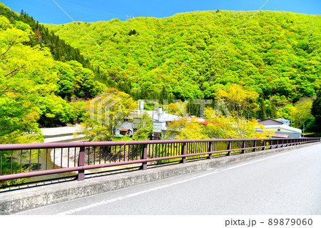 上野村の風景/都合平橋周辺(群馬県上野村)【2022.5】 上野村の風景/都合平橋周辺(群馬県上野村)【2022.5】 89879060