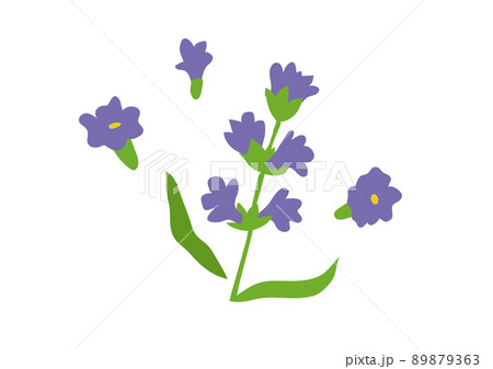 デザインの小ネタ　手描きのラベンダー 89879363