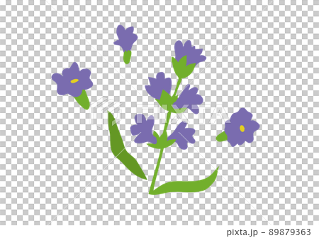 デザインの小ネタ　手描きのラベンダー 89879363