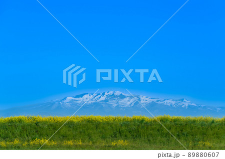 菜の花と残雪の栗駒山 菜の花と残雪の栗駒山 89880607